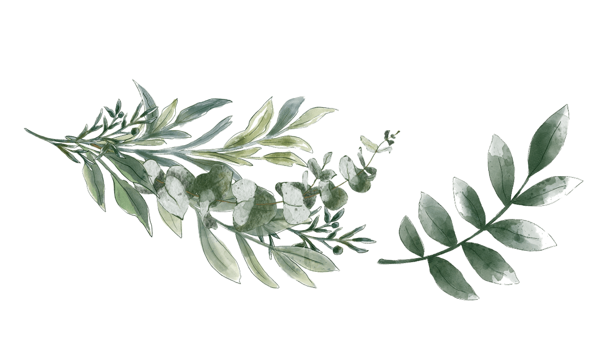 Top left branch